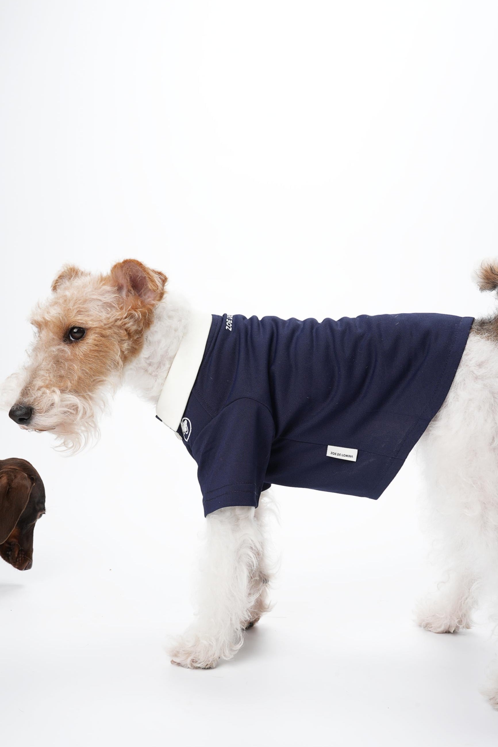 Zoe Academy Dog Polo Shirt