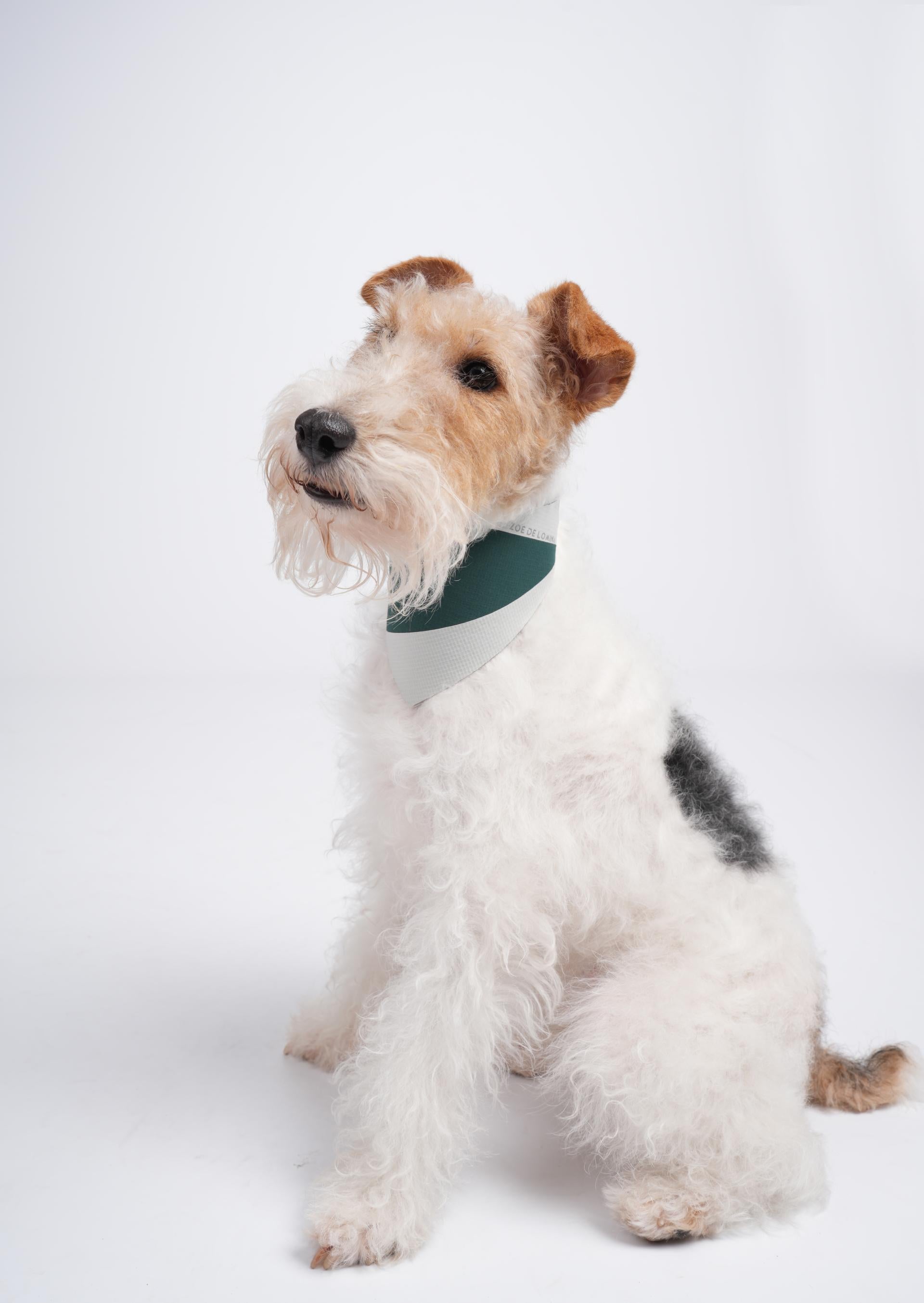 OrbitQuest Tech Sport Dog Bandana