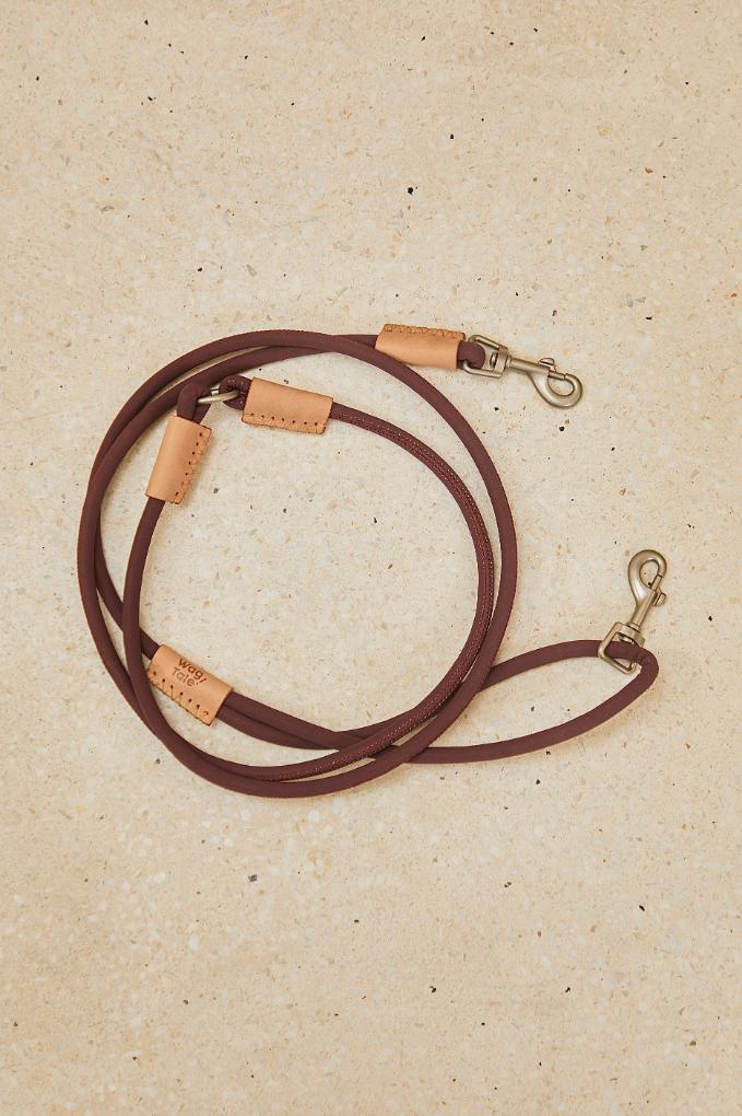 Multi-Way Dog Lead