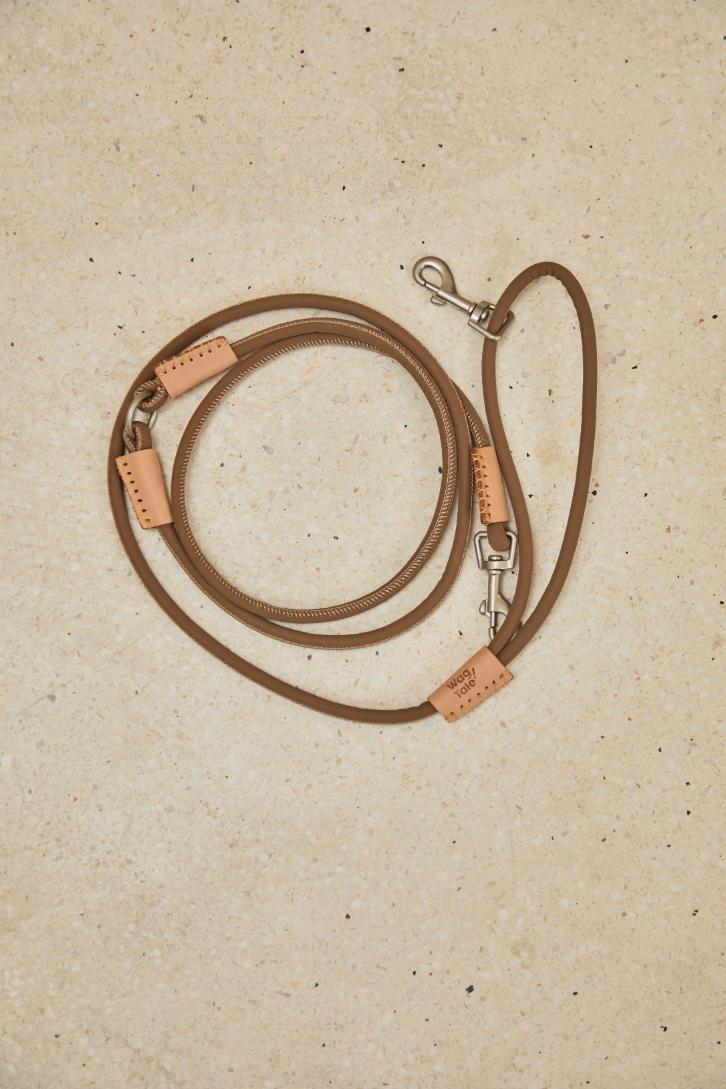 Multi-Way Dog Lead