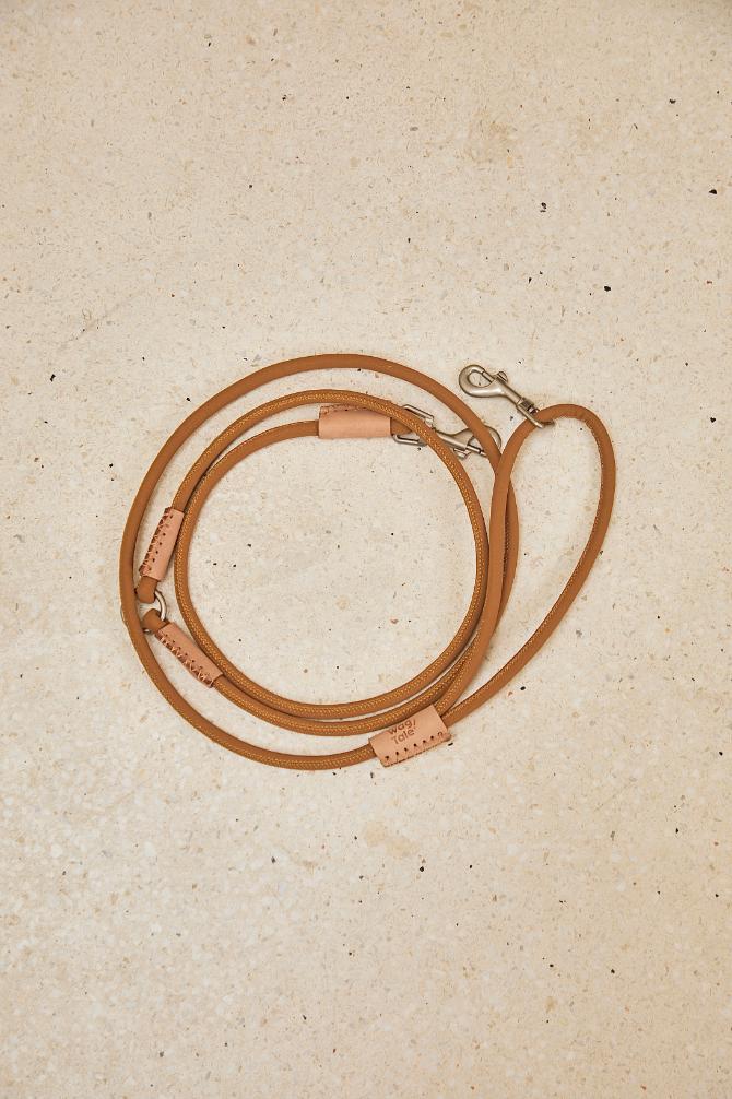 Multi-Way Dog Lead
