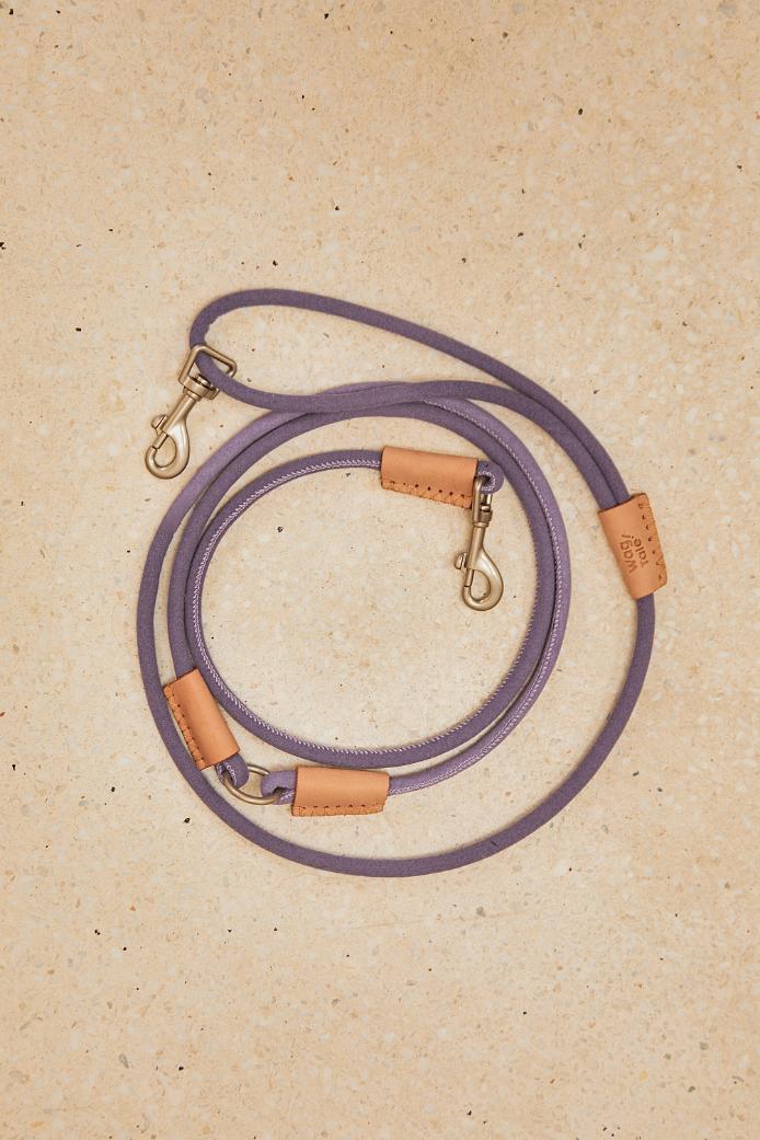 Multi-Way Dog Lead