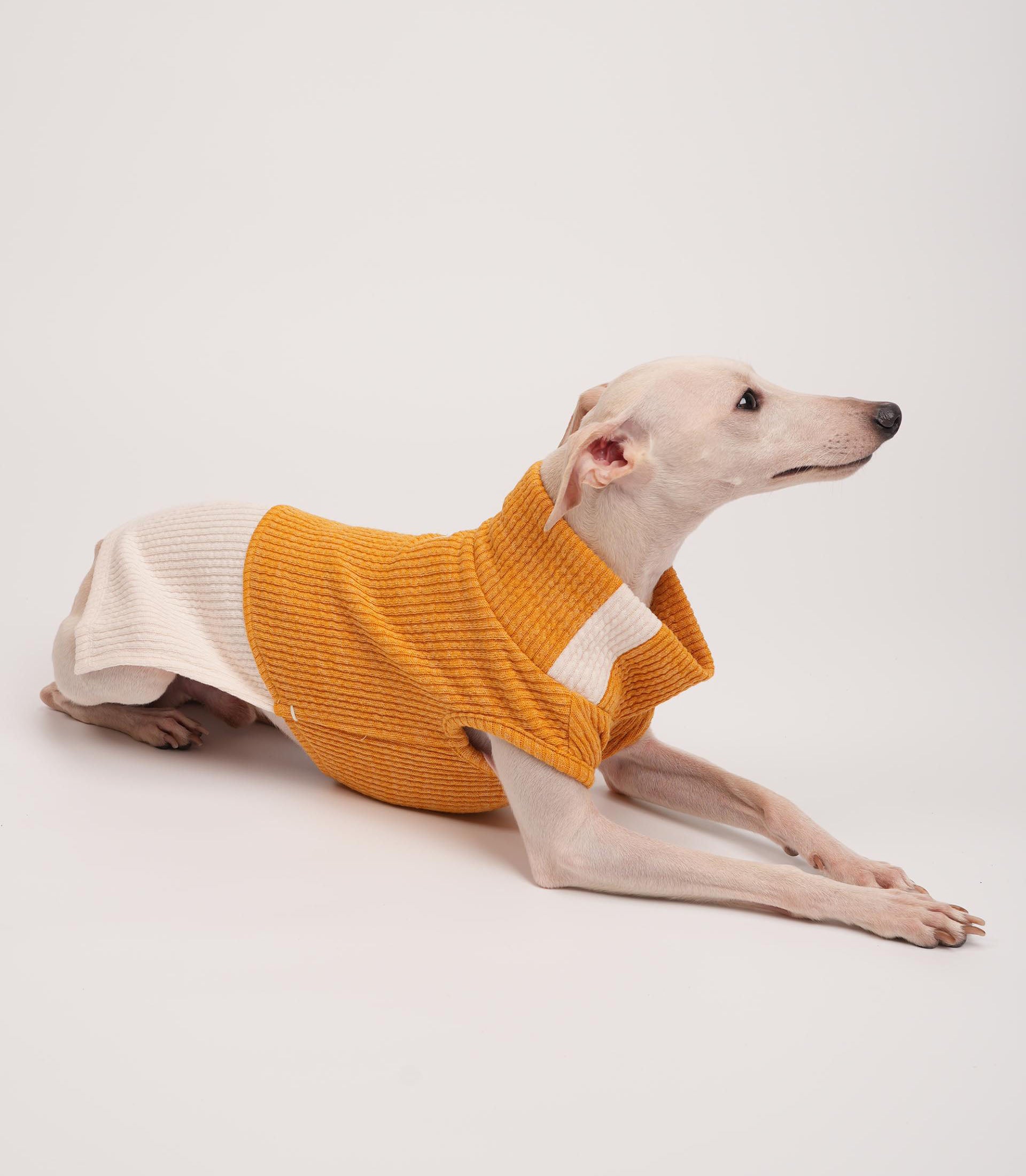Charger Sleeveless Dog Jacket