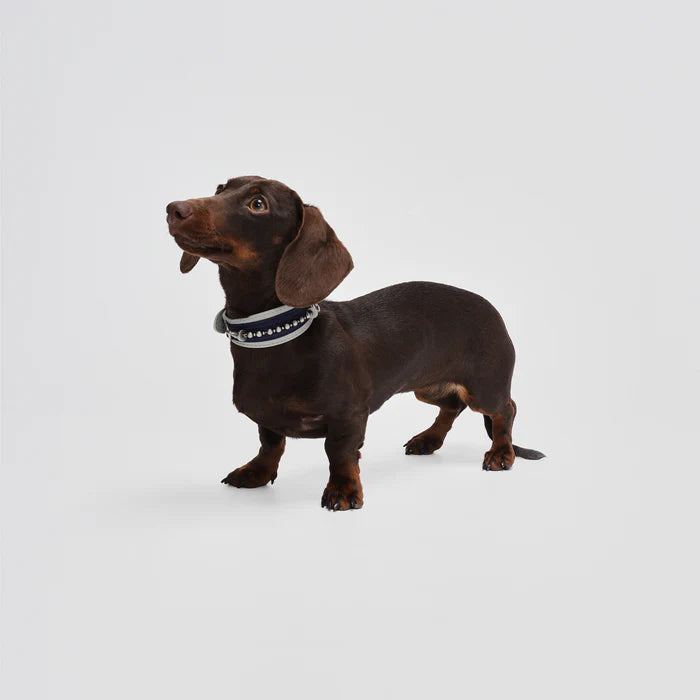 Kingsman Pinstripe Leather Collar