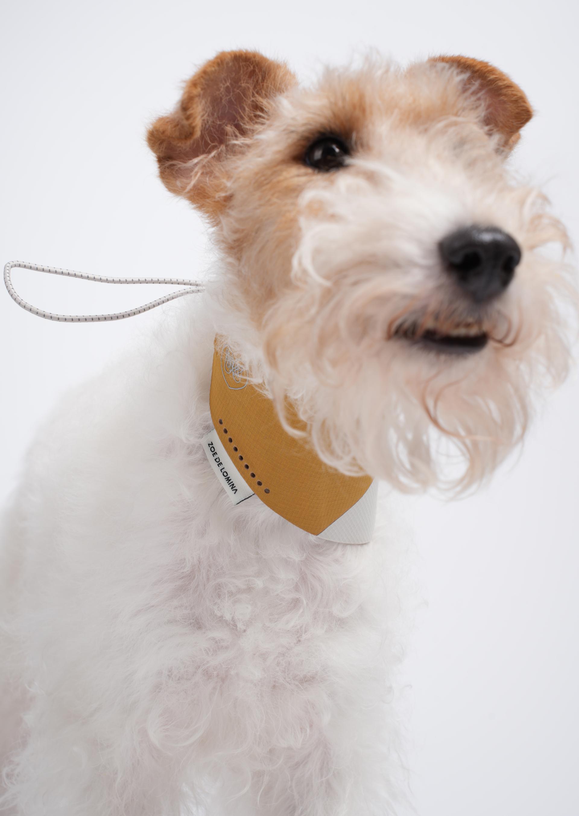 OrbitQuest Tech Sport Dog Bandana