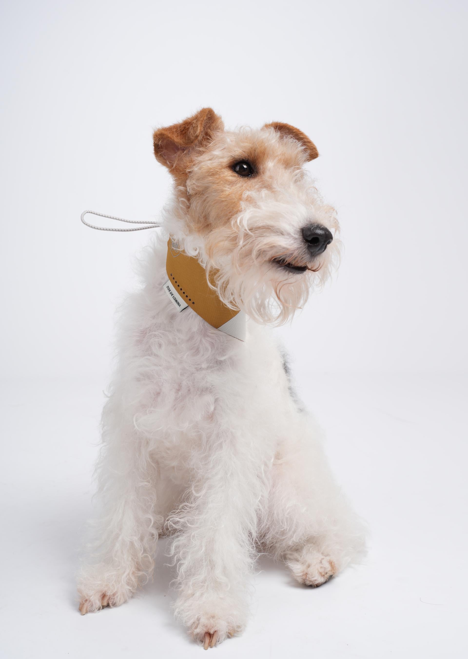 OrbitQuest Tech Sport Dog Bandana