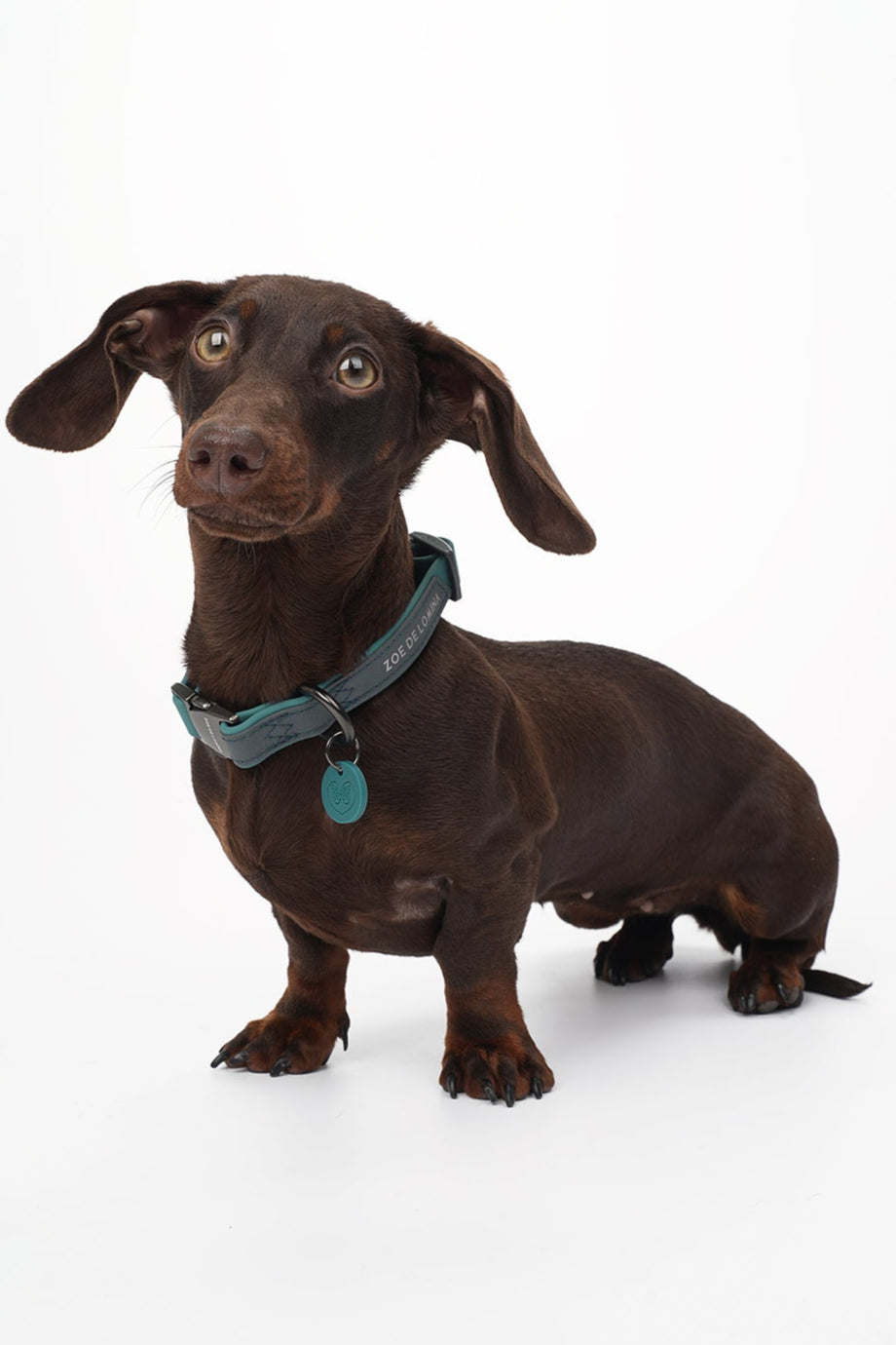 OrbitQuest Outdoor Waterproof Dog Collar