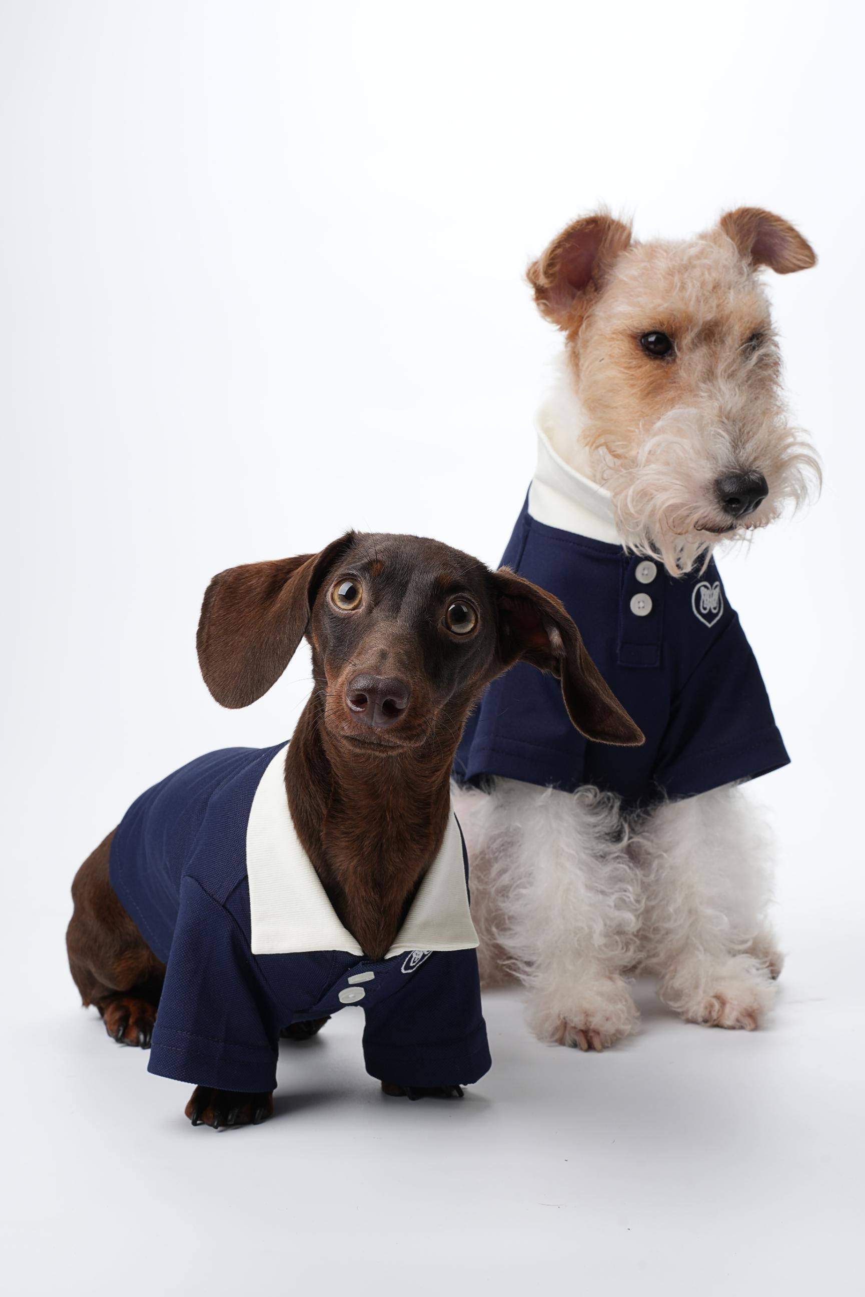 Zoe Academy Dog Polo Shirt