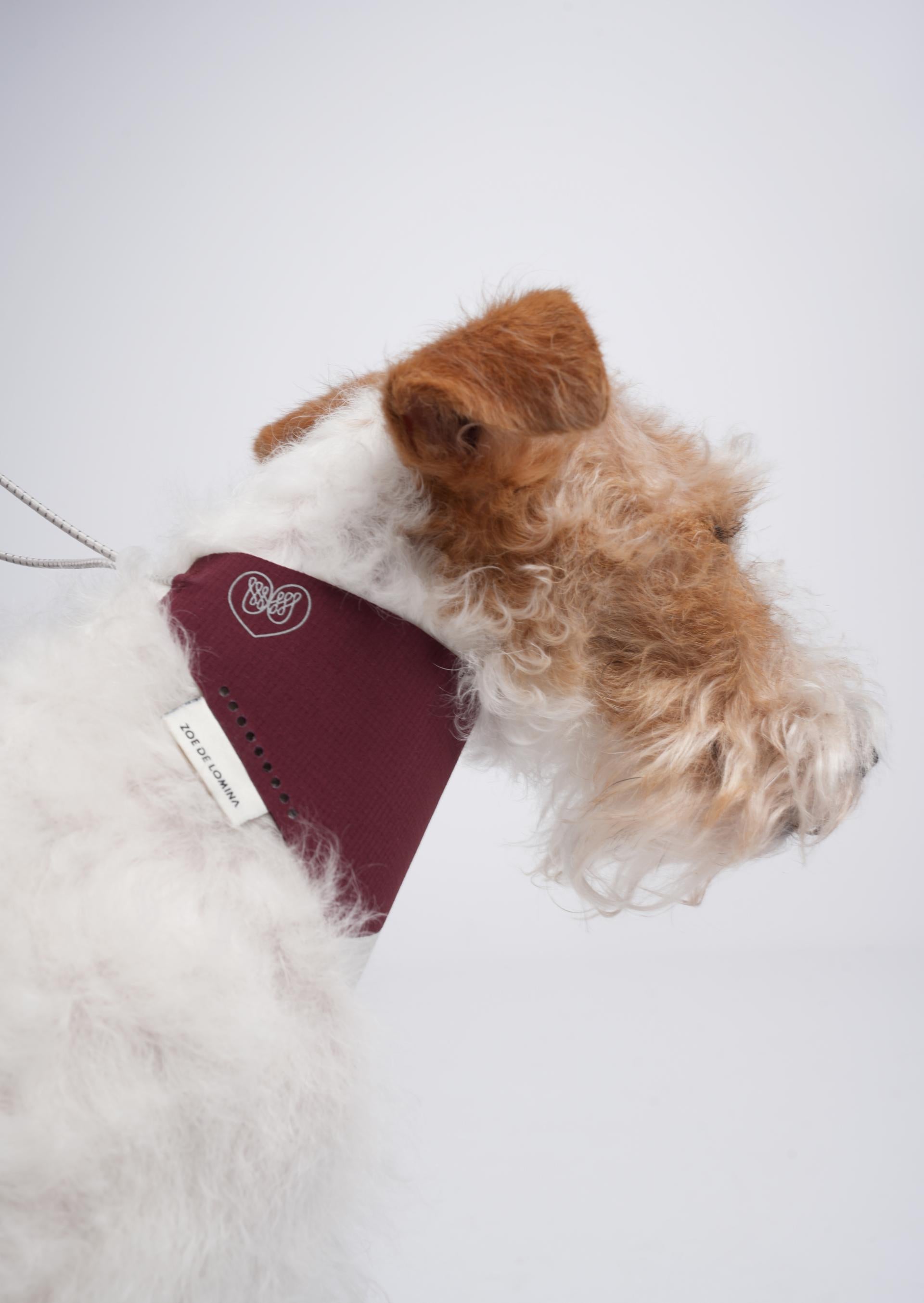 OrbitQuest Tech Sport Dog Bandana