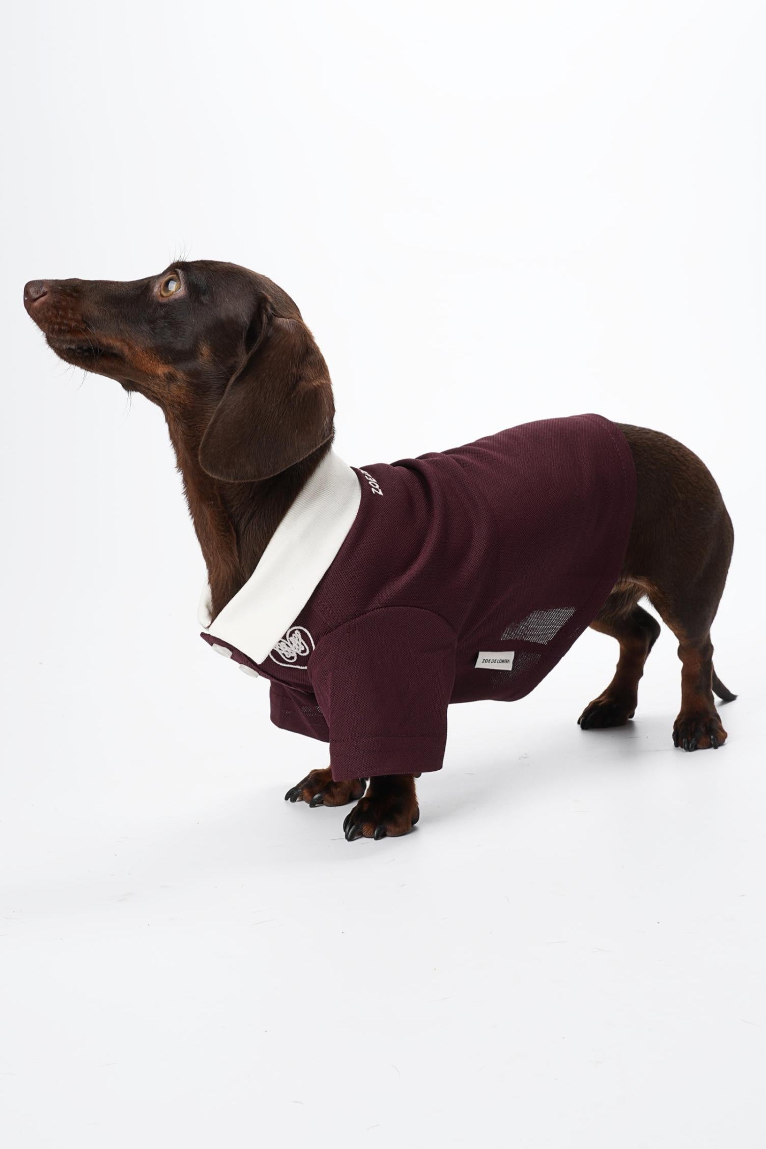 Zoe Academy Dog Polo Shirt