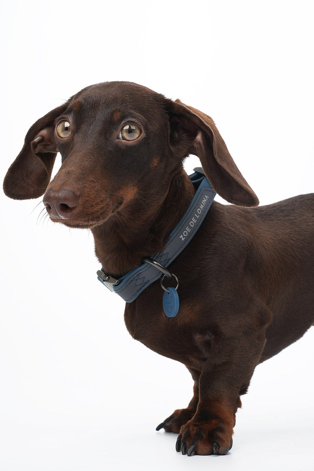 OrbitQuest Outdoor Waterproof Dog Collar