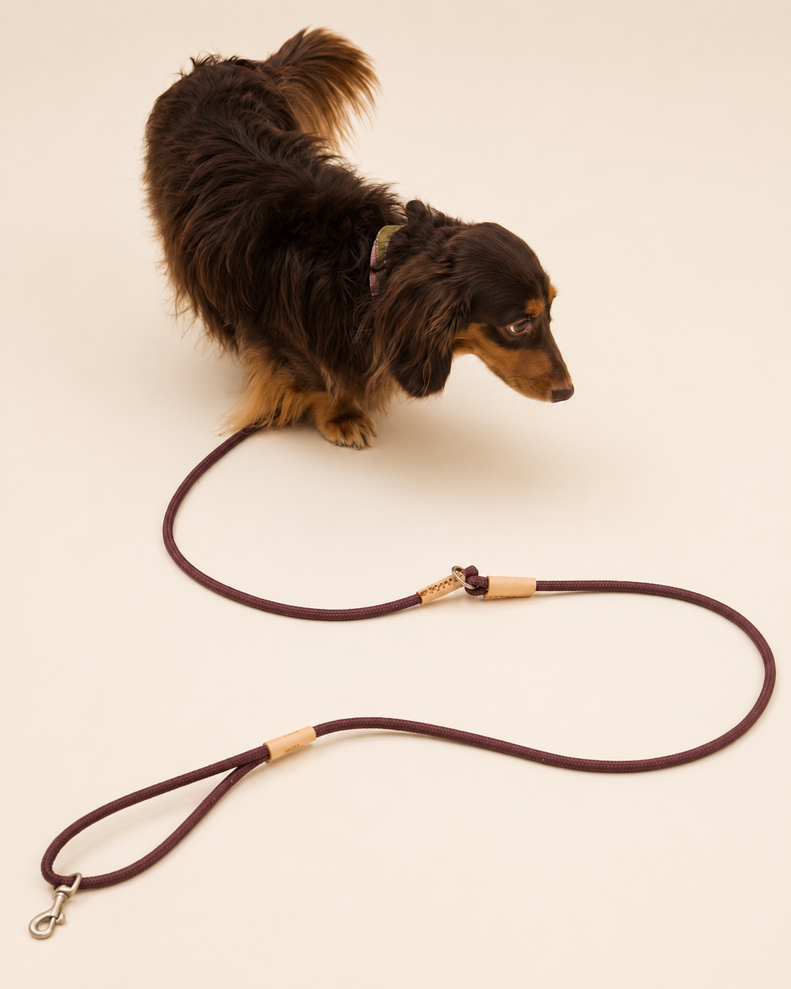 Multi-Way Dog Lead